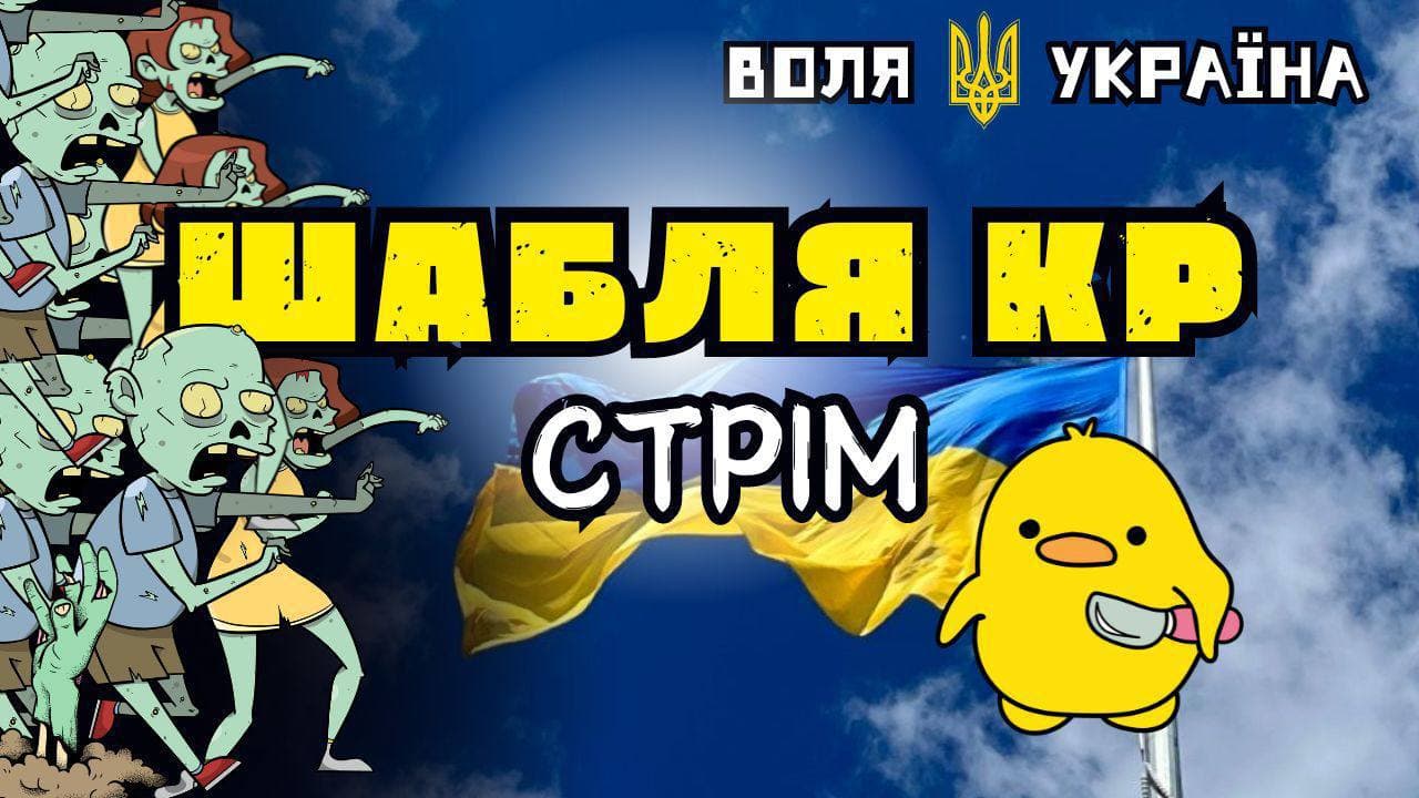 bgMedia